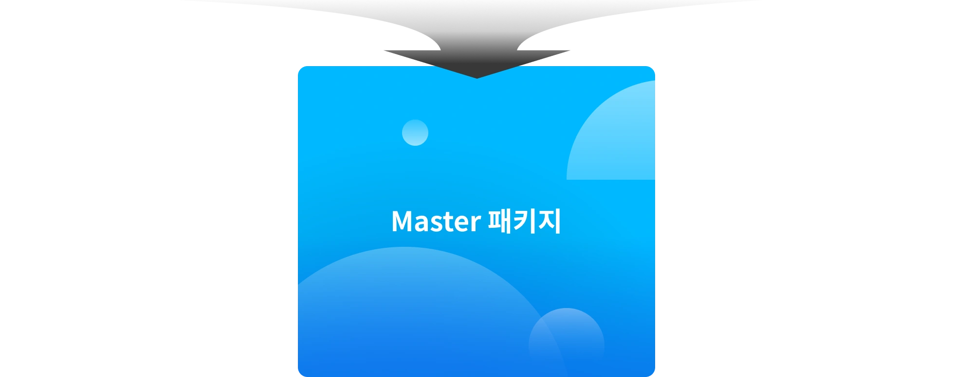마스터 패키지