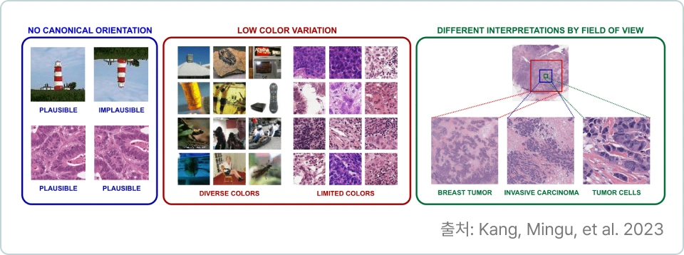ImageSlide<b>1. Benchmarking Self-Supervised Learning on
Diverse Pathology Datasets</b>