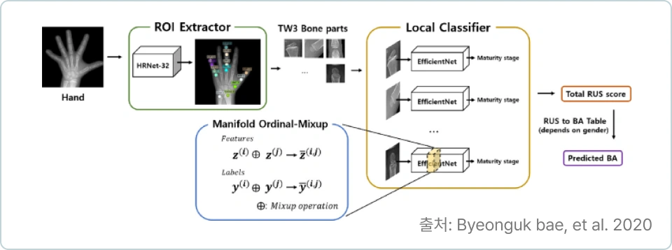 ImageSlide<b>2. Manifold Ordinal-Mixup for Ordered Classes in 
TW3-Based Bone Age Assessment</b>