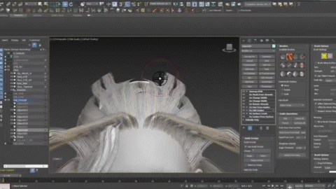 ImageSlide<b>
<font color="#fffff">
Ornatrix</font>
</b>
