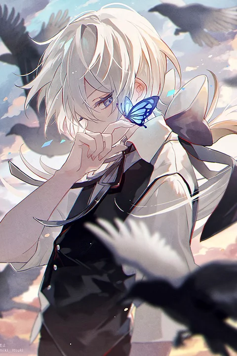 Coloso 双木樹 ポートフォリオ