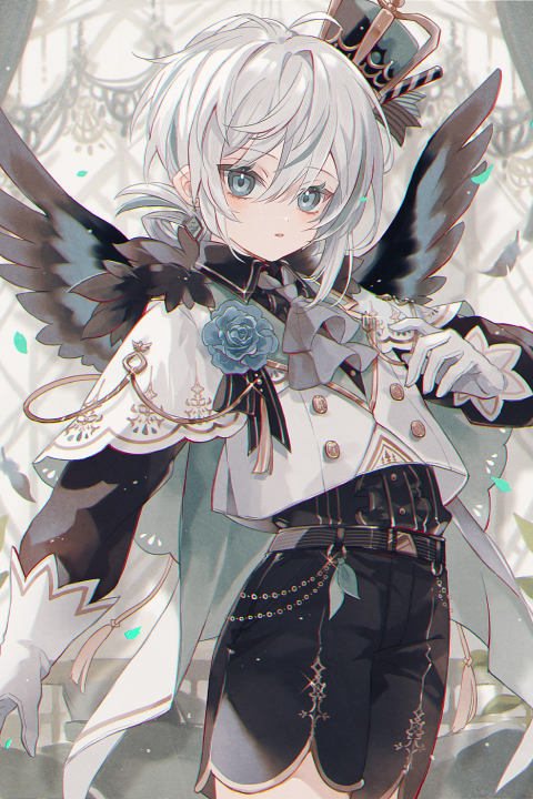 Coloso 双木樹 ポートフォリオ
