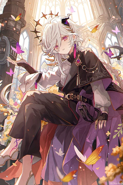 Coloso 双木樹 ポートフォリオ