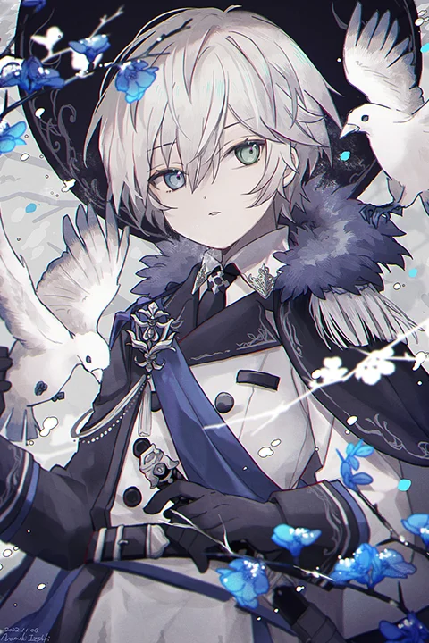 Coloso 双木樹 ポートフォリオ