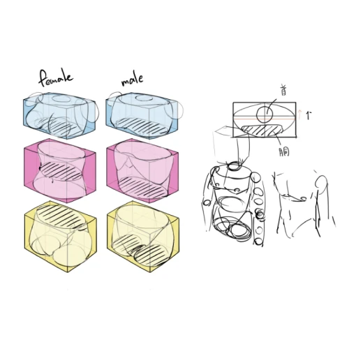 champi Exercises
