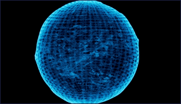 ImageSlide<span style="color:#8DCDCD";>
<b>Niagara - </b> Energy Shield
</span>