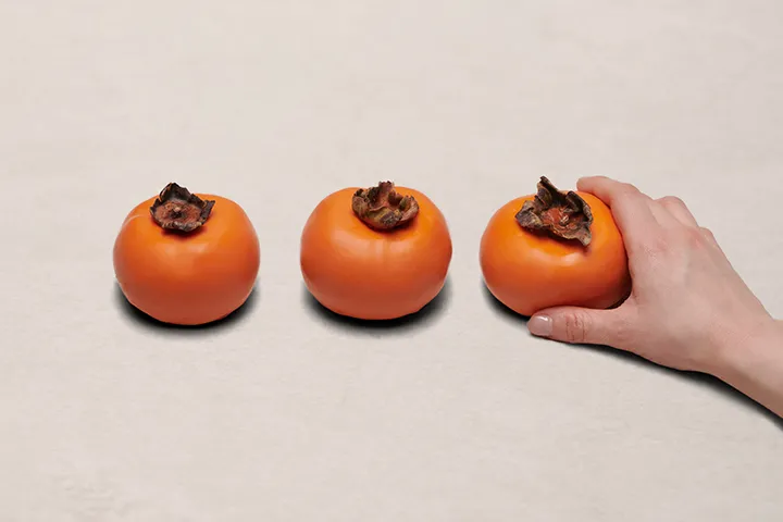 콜로소 일러스트 클래스 구성