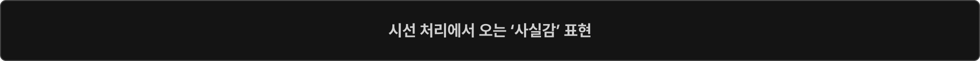 사실감 표현