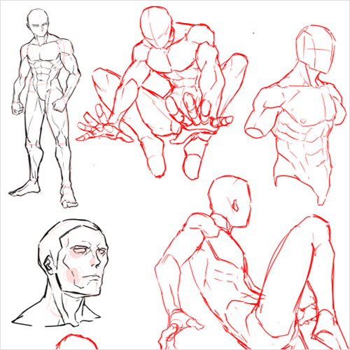 Coloso illustration Class Details