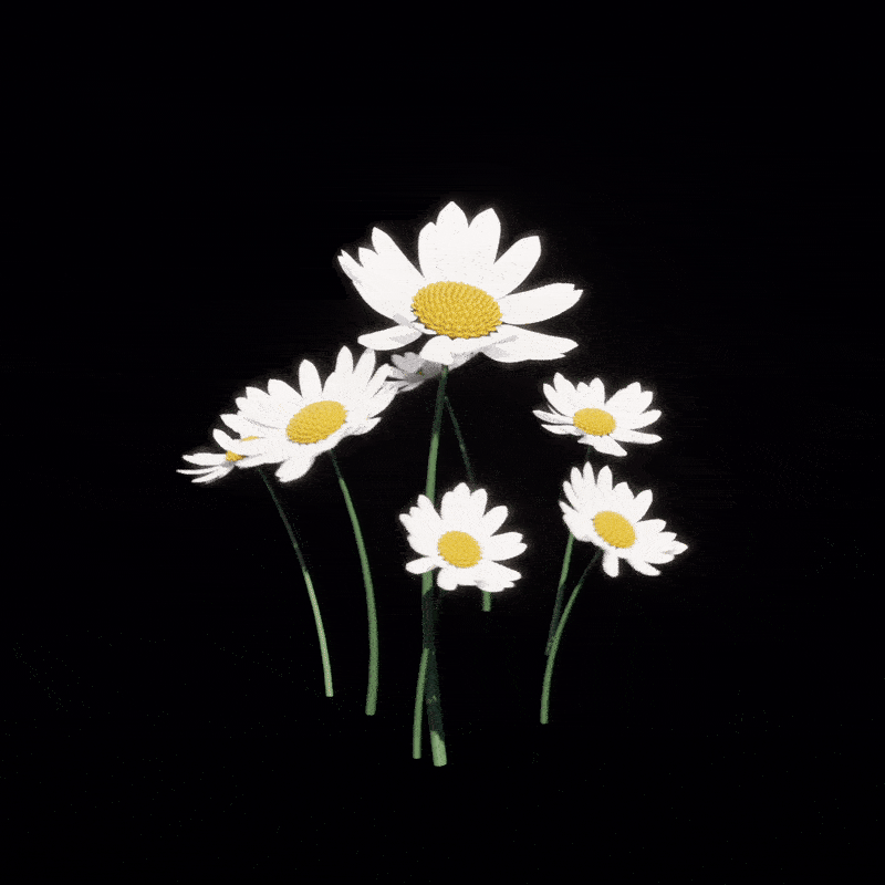 ImageSlide<center>꽃</center>