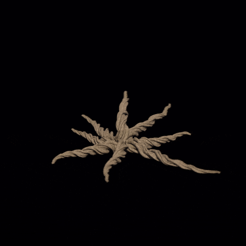 ImageSlide<center>뿌리 나무</center>
