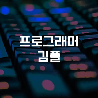  프로그래머 김플
