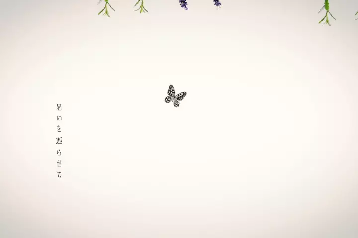 Coloso まきのせな 講座内容