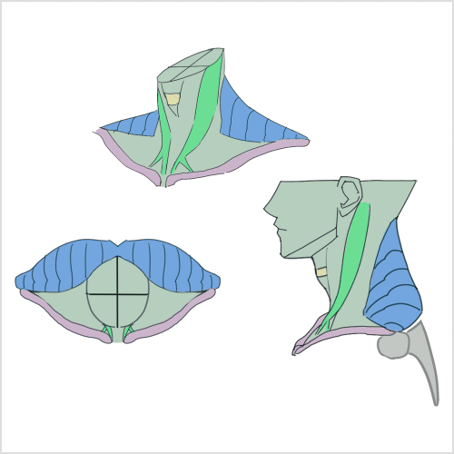 Coloso Illustrator Kunmang Exercises