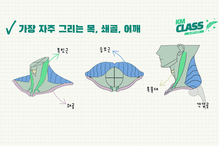 콜로소일러스트레이터 건망 강의 소개