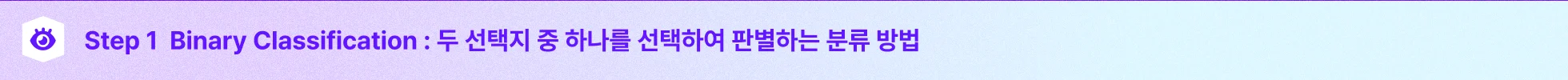 이진 분류, binary classification