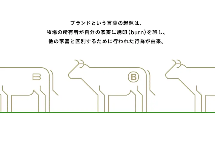Coloso 森田賢吾 講座のポイント