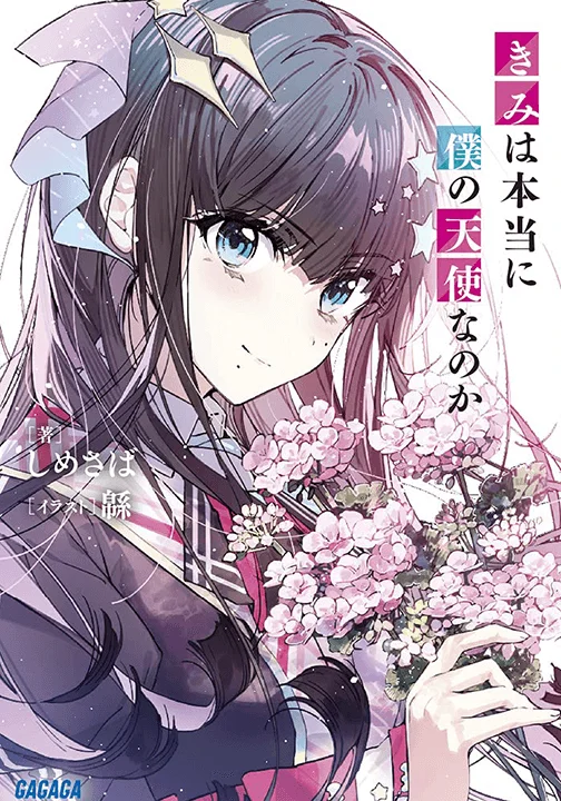 Coloso ライトノベル作家, しめさば