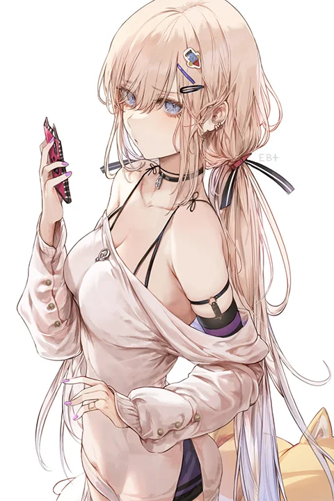 Illustrator EB十