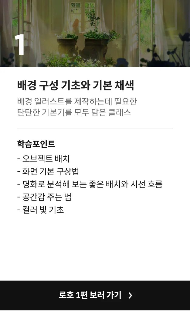  콜로소 일러스트레이터 로호 클래스 차이점