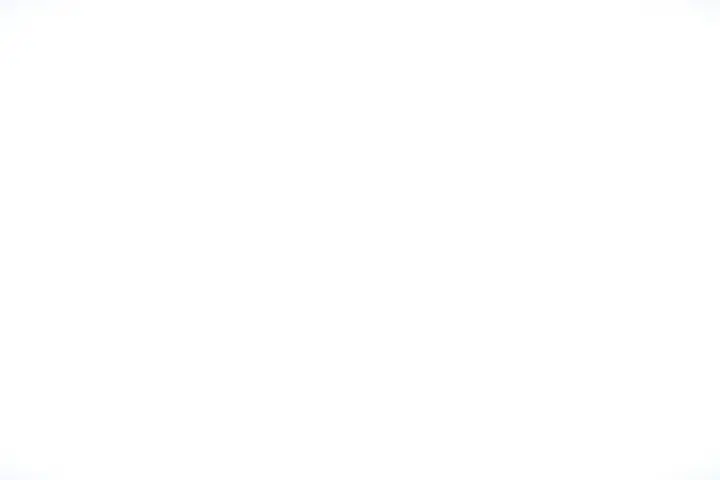모션그래픽 디자이너 aflow 포트폴리오