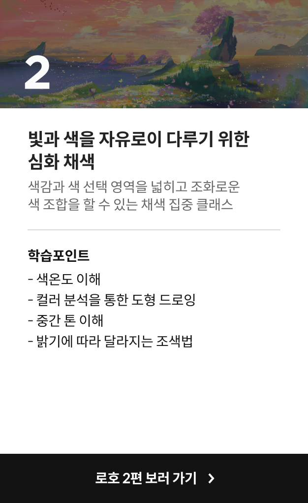  콜로소 일러스트레이터 로호 클래스 차이점