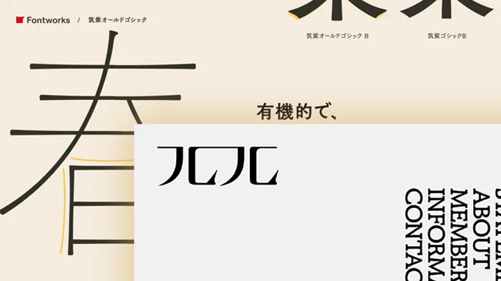 Coloso モリケント ポートフォリオ