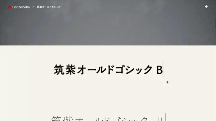 Coloso モリケント ポートフォリオ