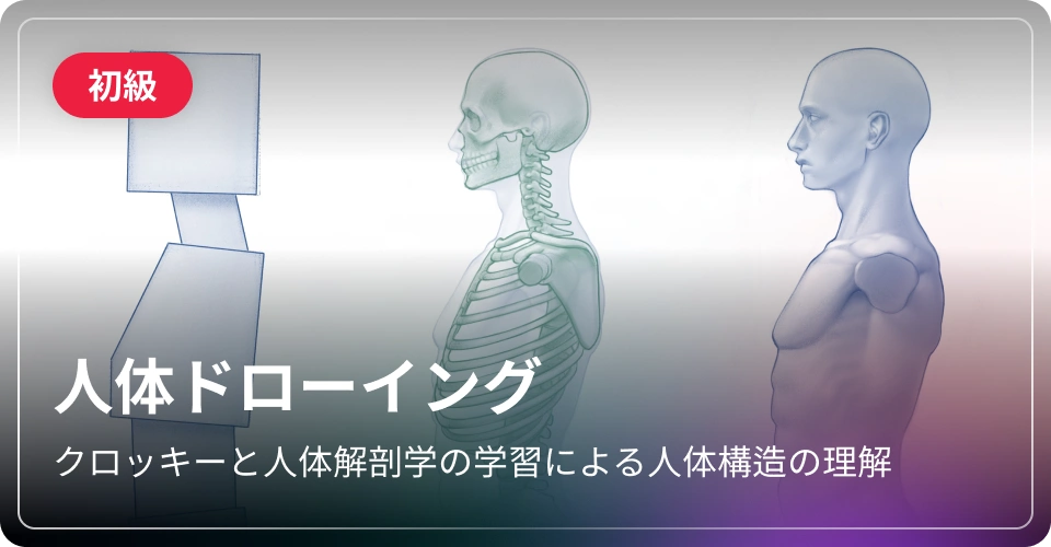 人体ドローイング-初級