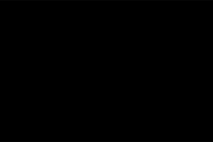 Coloso アニメーション監督 畳谷哲也 講座例題