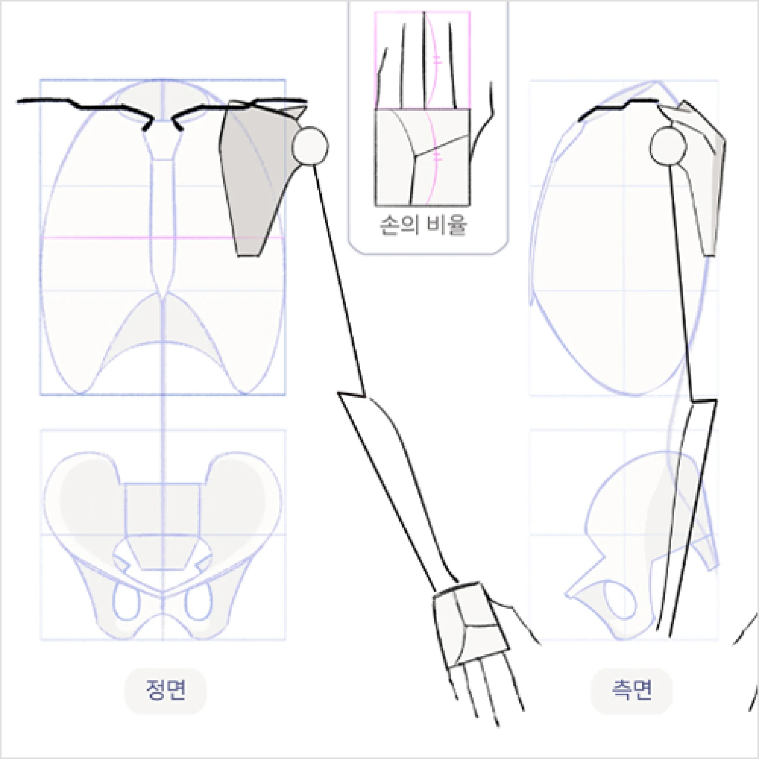 콜로소 컨셉 아티스트 케토 클래스 구성