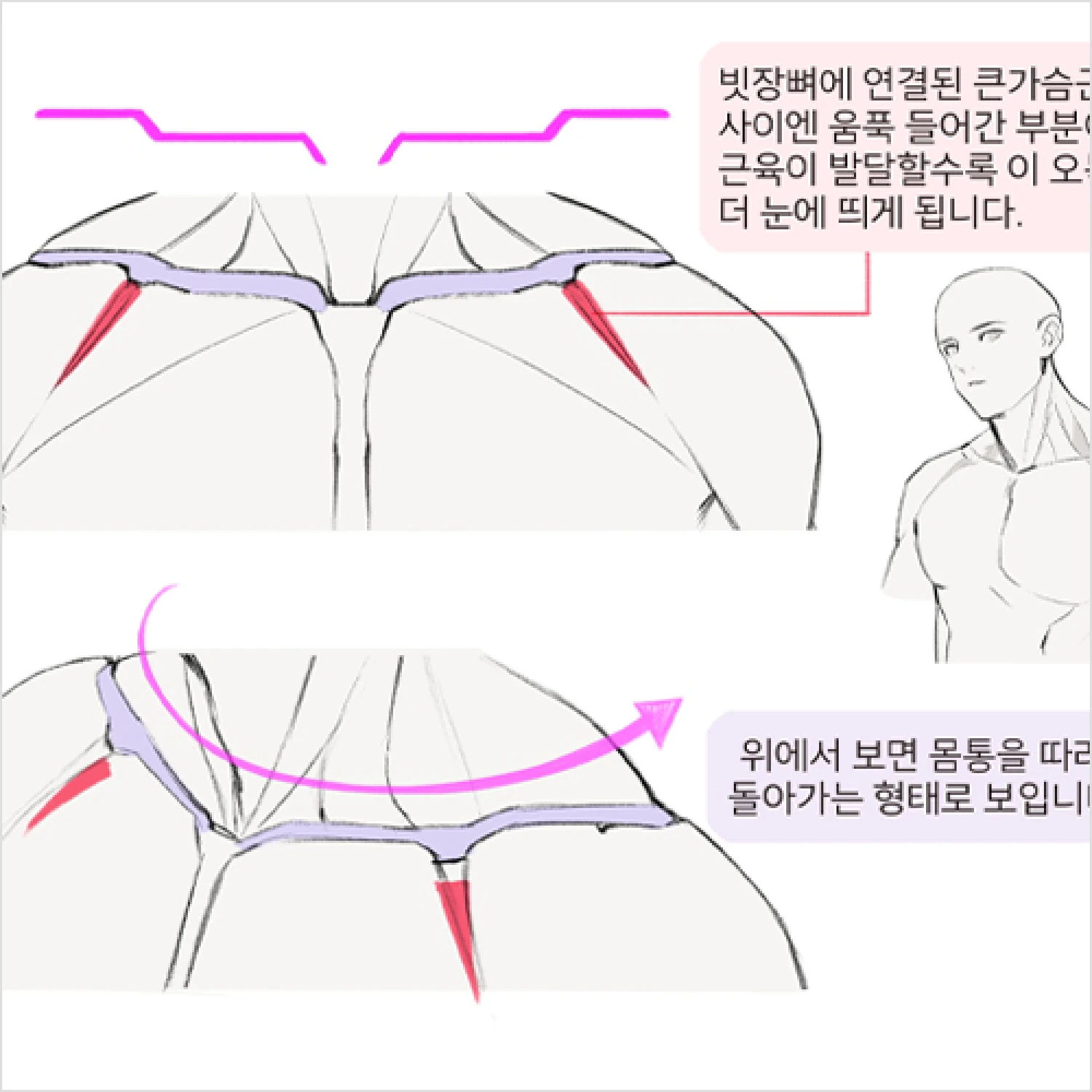 콜로소 컨셉 아티스트 케토 클래스 구성