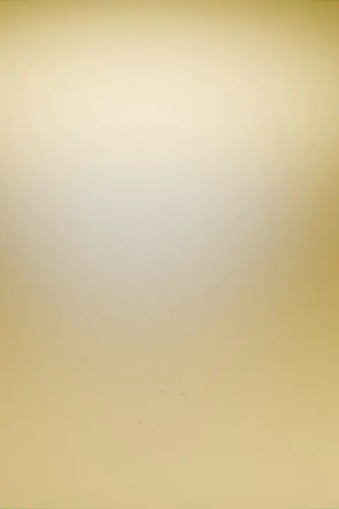 콜로소 100강사전 강의 예제