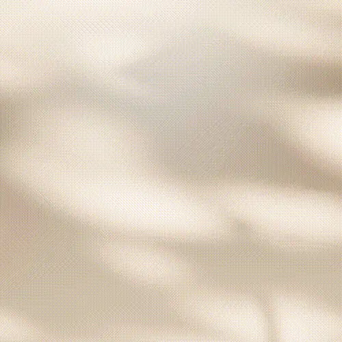 콜로소 100강사전 클래스 구성