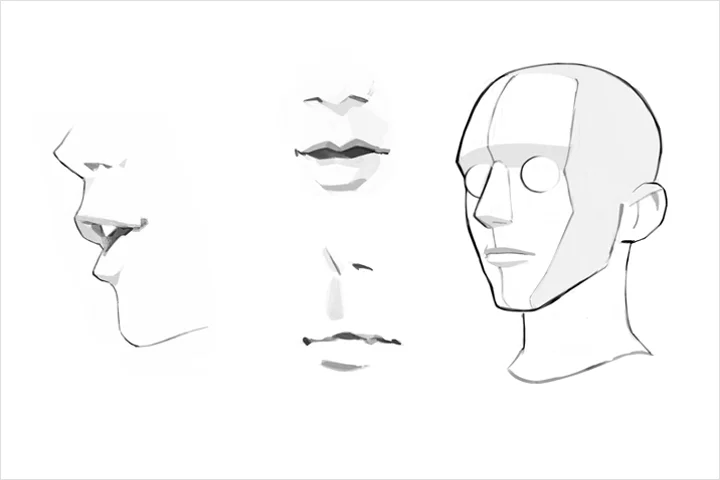 Coloso イラストレーター せき