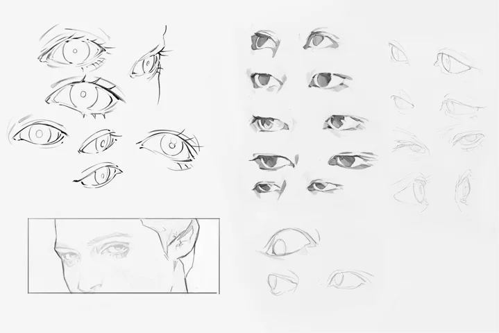 Coloso イラストレーター せき
