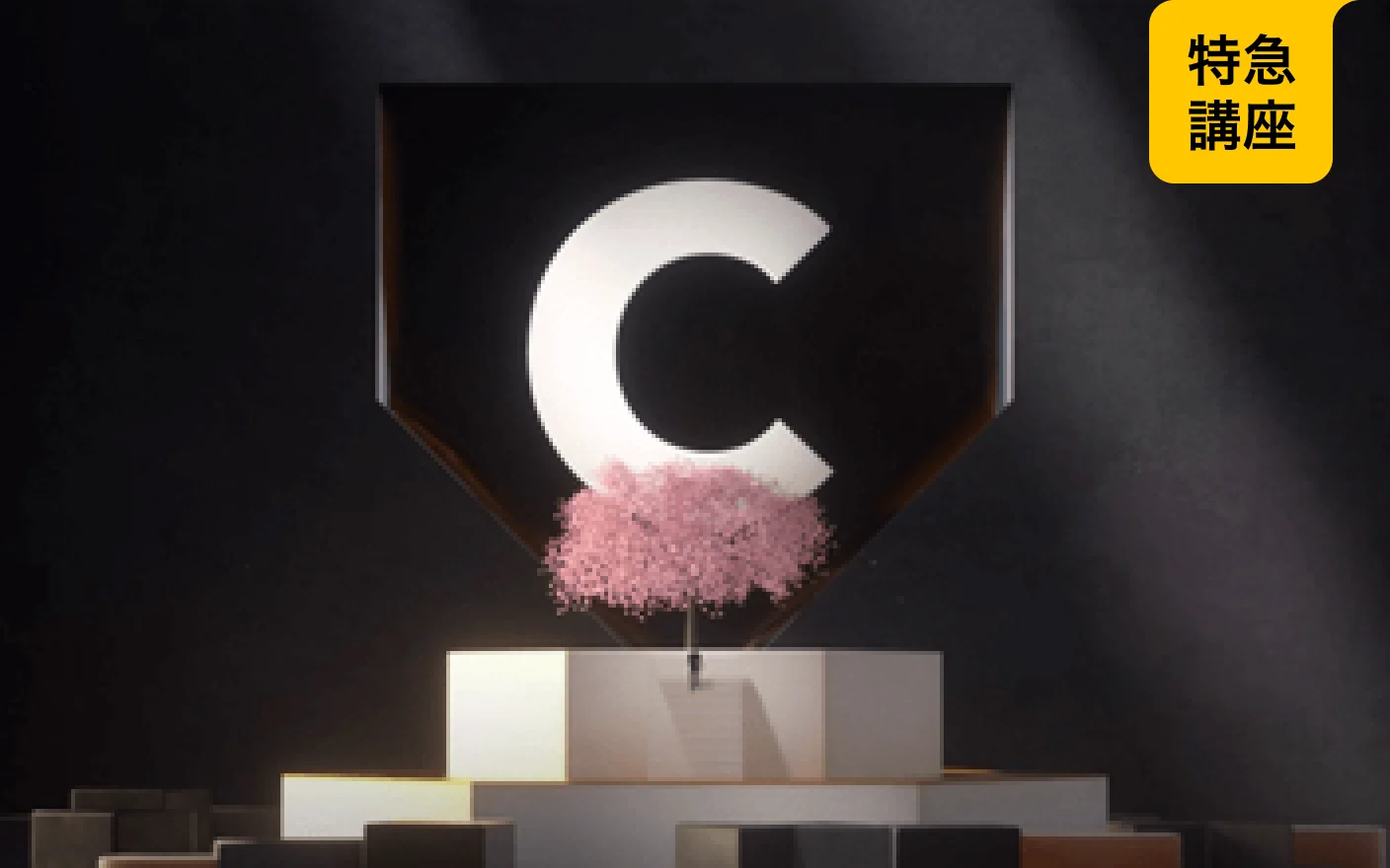 トレンディなモーショングラフィックスのための５つのコンセプトトレーニング