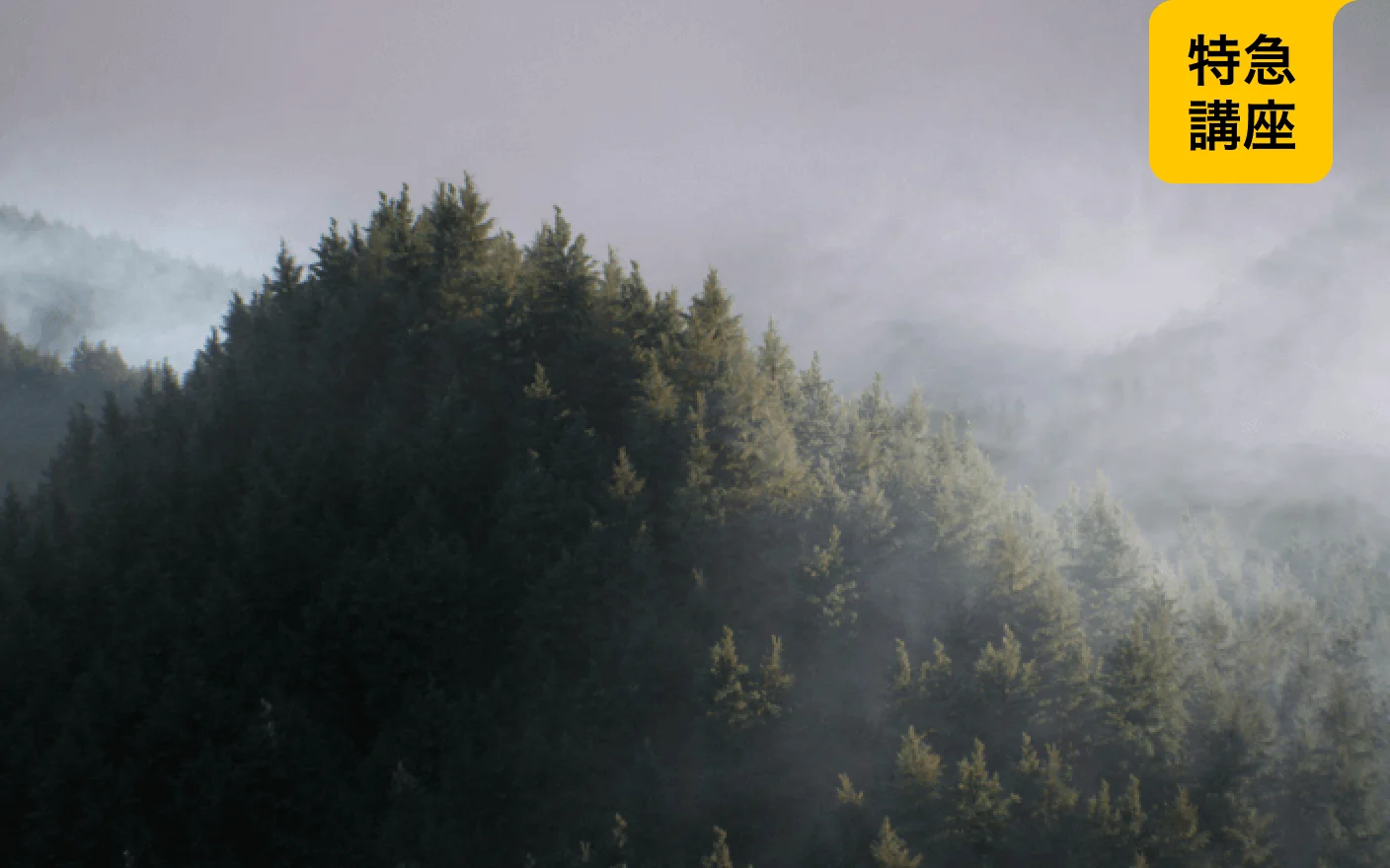 C4D実践ポートフォリオ：シネマティック映像制作