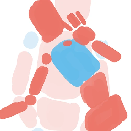 Coloso Illustrator LEW