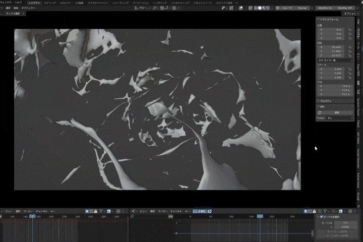 Coloso 映像作家 noixy