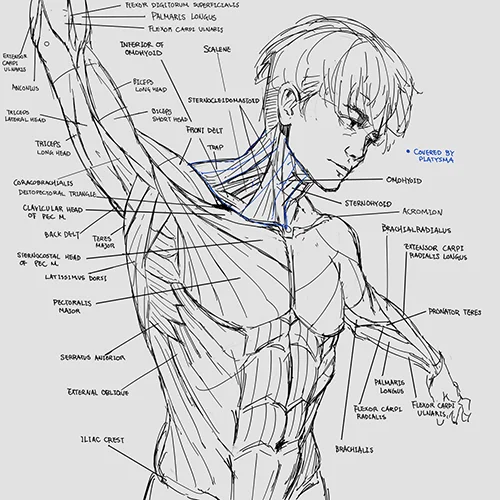 일러스트레이터 Pluvium