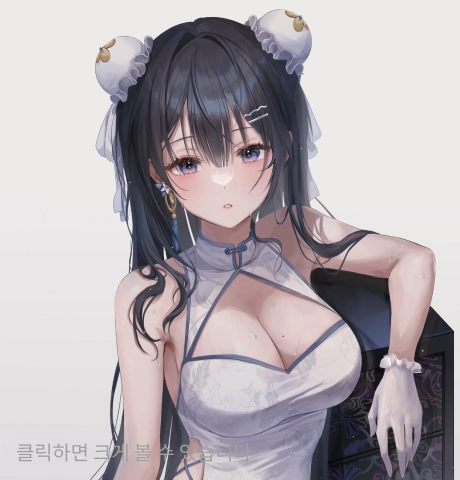 묘와 포트폴리오