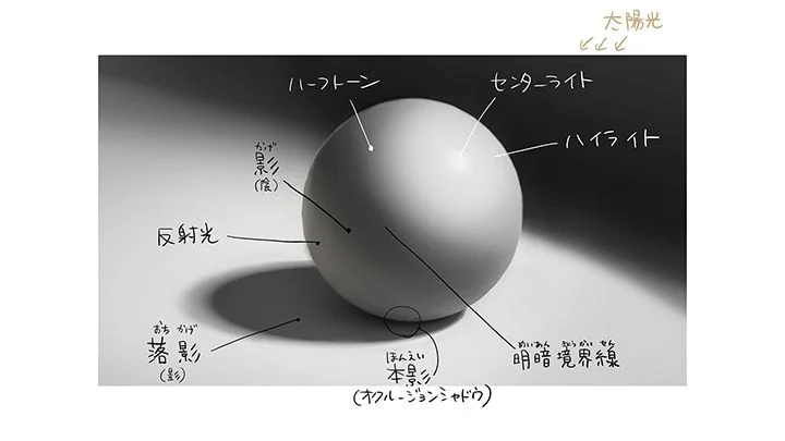 콜로소 일러스트 이미지