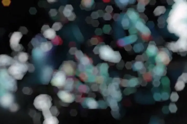 Coloso 映像作家 noixy