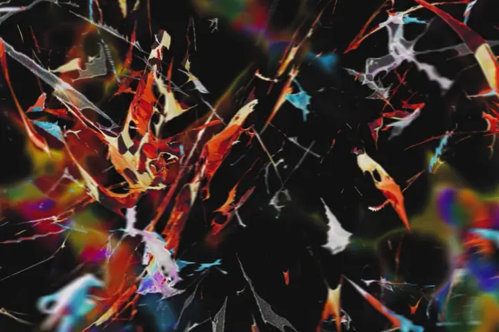 Coloso 映像作家 noixy