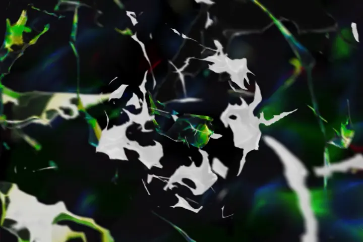 Coloso 映像作家 noixy