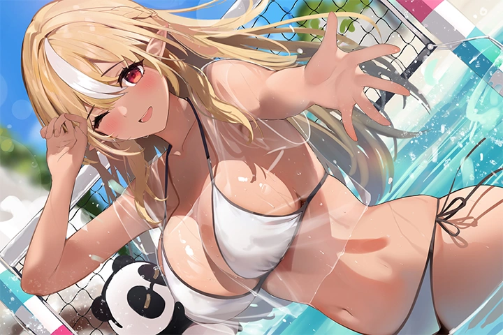 Coloso Illustrator Niii