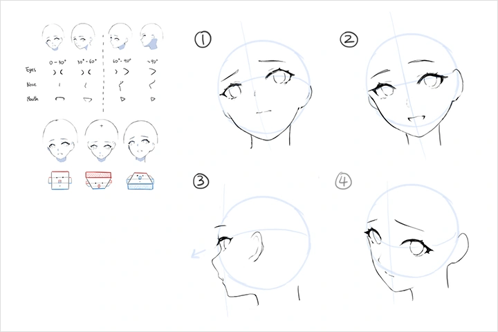 Coloso Illustrator Niii