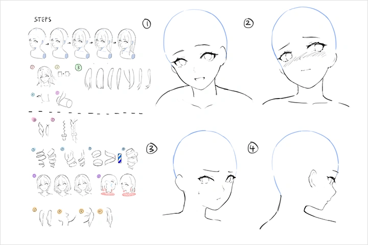 Coloso Illustrator Niii