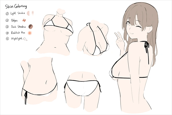 Coloso Illustrator Niii